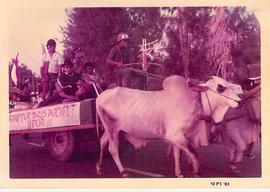 Salah satu peserta karnaval di tarik sapi pada Peringatan Haornas di Bantul