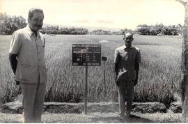 Demonstrasi Plot Padi Sawah Dinas Pertanian dan Perikanan DIY