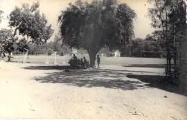 Lapangan Wijirejo Pandak