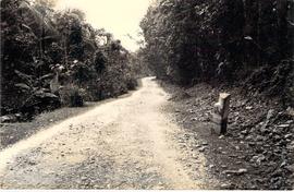 Peningkatan jalan Dogongan-Kretek (Tikungan Siluk difoto dari selatan)