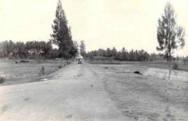 Jalan Bejen-Jedigan difoto dari selatan (1)