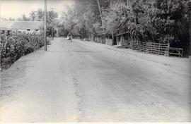 Jalan Jedigan-Bejen difoto dari utara (2)