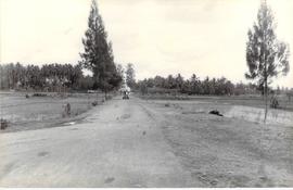 Jalan Bejen-Jedigan difoto dari selatan (2)