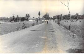 Jalan Jedigan-Bejen difoto dari utara (1)