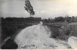 Jalan Bulak Balong sebelah barat Dusun Ngentak Seloharjo difoto dari barat.